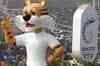 R-Day: 2010 Commonwealth Games tableau attracts people