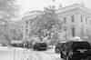 Washington DC knocked out by 'Snowmageddon'