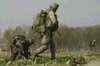 Taliban forced to run away from strongholds: NATO