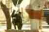 Security forces to stay in Osmania University: SC