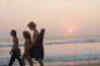 Goa govt's nod a must for pleasure parties