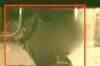 Allahabad: Gunmen shoot cops to free criminal