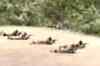 ULFA issues diktat to fuel suppliers in Assam