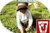 ET Now: Jay Shree Tea to acquire three firms in Africa