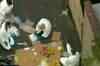 Pakistan link to New York bomb plot