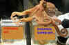 Salman consults Paul the Octopus