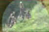 Rajouri encounter caught on camera