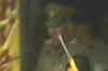 No action against brutal Haryana cops