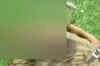 Cops killed Kargil war hero in 'encounter'