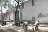 Eight killed in Somalia clashes