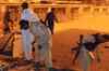 Twin blasts rock Karachi shrine, several dead