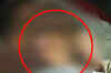 School ignorance kills 12-year-old girl in Lucknow