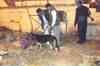 Varanasi blast: Forensic report confirms use of IED