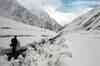 Over 100 tourists stranded in HP due to snow