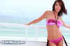 Check out jewelled bikinis by Raj Manufacturing