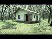 Jalam Malayalam Movie Official Song | Koodu Vaykkan | Shakthisree