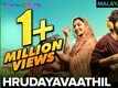 Hrudayavaathil | Song - C/O Saira Banu