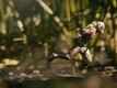 Marvel&rsquo;s Ant-Man &ndash; Clip 1
