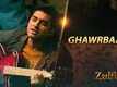 Ghawrbaari - Zulfiqar