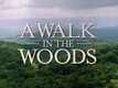 A Walk In The Woods Video -1