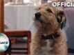 Dialogue Promo - Absolutely Anything