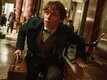 Official Trailer - Fantastic Beasts And Where To Find Them