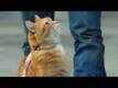 Dialogue Promo - A Street Cat Named Bob