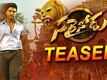Official Teaser - Sarrainodu