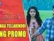 Mellaga Tellarindoi Song Promo - Shatamanam Bhavati