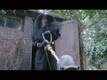 Dialogue Promo | 2 - This Beautiful Fantastic
