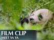 Featurette | 4 - Born In China
