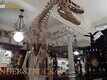 Featurette | 3 - Wonderstruck