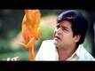 Mayagadu Trailer