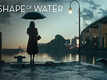 Movie Clip - The Shape Of Water