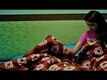 Arya Chitra Trailer