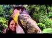 Mall Yudh Trailer
