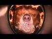 Paddington - Official Trailer - The Weinstein Company
