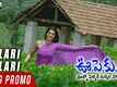 Oollo Pelliki Kukkala Hadavidi | Song Promo - Allari Allari Manasu