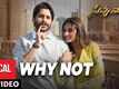 Savyasachi | Song - Why Not (Lyrical)