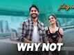 Savyasachi | Song - Why Not