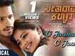 Seetharama Kalyana | Song - O Jaanu O Jaanu (Lyrical)