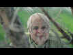 Manasinata - Official Trailer