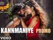 Pailwaan | Song Promo - Kannmaniye