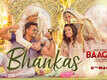 Baaghi 3 | Song - Bhankas