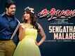 Sooryavamsi | Tamil Song - Sengathal Malare
