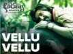 Aranya | Song - Vellu Vellu