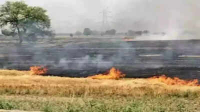 Hry reports 27 cases of farm fires, air cleaner