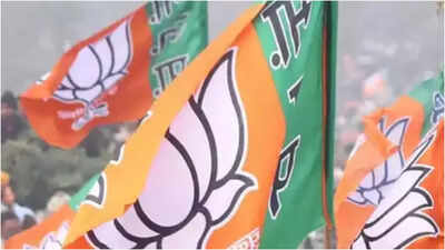 BJP's 'Shukriya Modi' campaign aims to woo Muslim voters