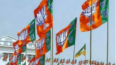 Jammu and Kashmir Assembly elections 2024: BJP announces 29 more candidates, replaces one in revised list