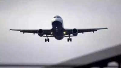 Tamil Nadu tourists flock to Indonesia, seek direct flights